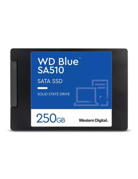 WD 250GB SATA BLUE 2,5   SSD