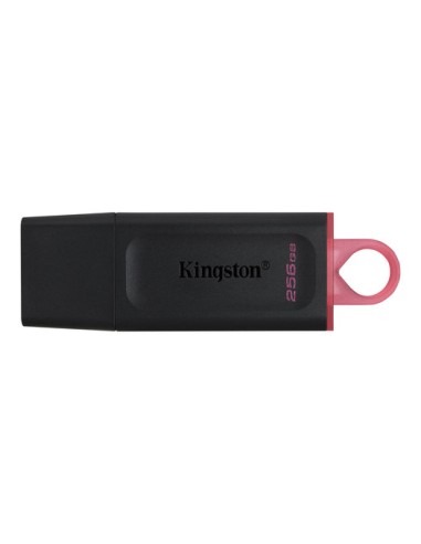 Kingston 256GB USB3.2 Gen1 DataTraveler Exodia (Black + Pink)