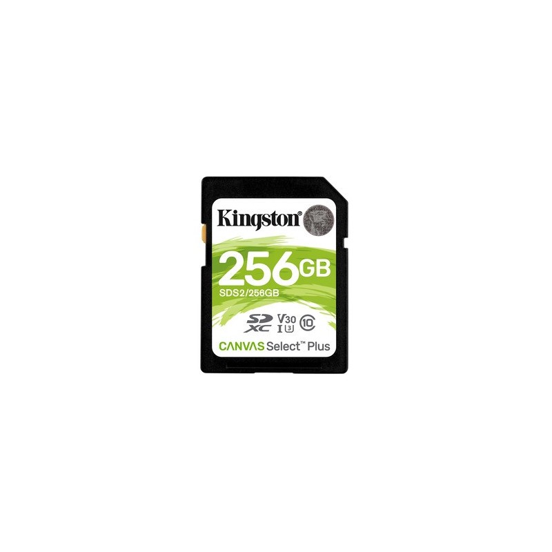 Kingston 256GB SDXC Canvas Select Plus 1