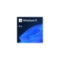 Windows 11 Professional ElektronikLisans
